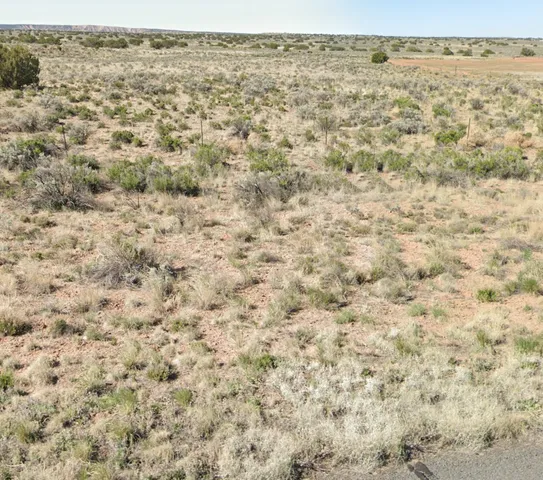 On the parcel — high-desert grass and juniper