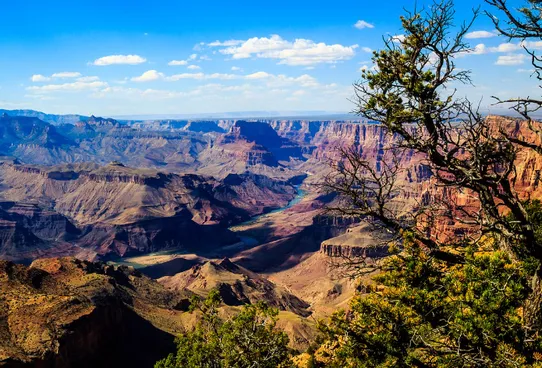Northern Arizona high desert