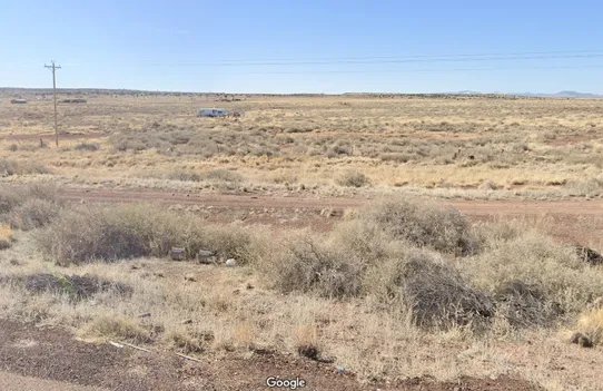 On the parcel — looking across the lot from the road
